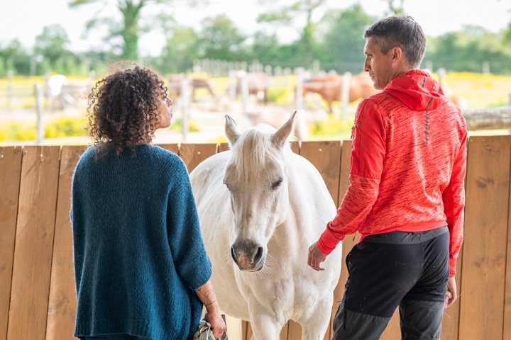 Phase individuelle pendant une scéance d'équi coaching pour entreprise