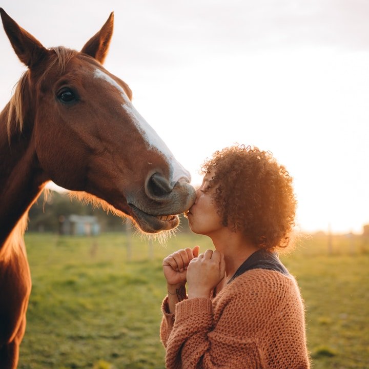 Photo de Céline Guilbaud avec un cheval avec lequel elle pratique l'équicoaching
