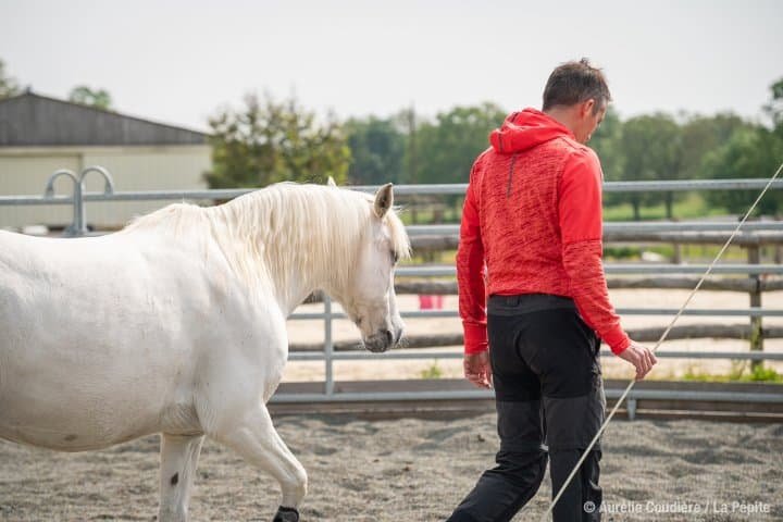 Travail individuel en séminaire d'équi-coaching
